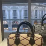 Сумка Speedy Bandoulière 20
